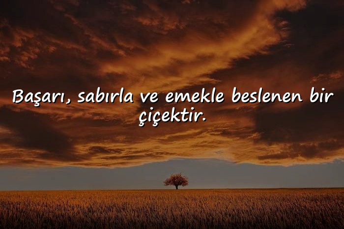 resimli başarı ile ilgili sözler - 1