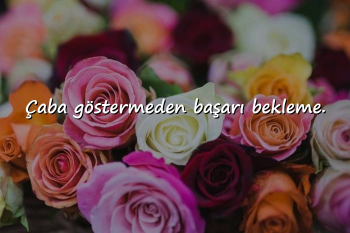 resimli başarı ile ilgili sözler - 16