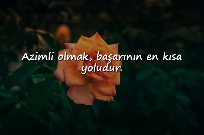 resimli başarı ile ilgili sözler - 11