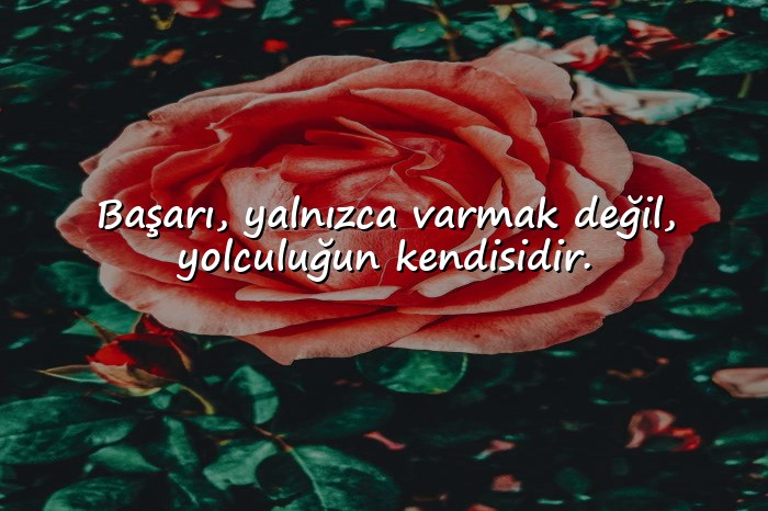 resimli başarı ile ilgili sözler - 1
