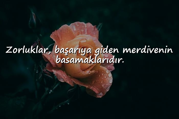 resimli başarı sözleri - 18