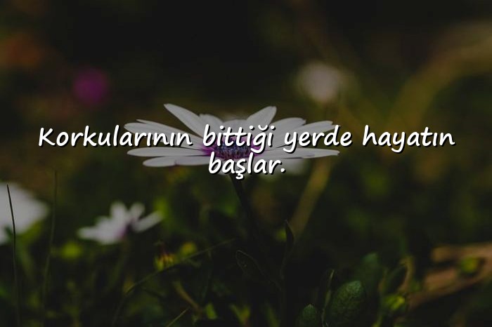 resimli başarı sözleri - 23