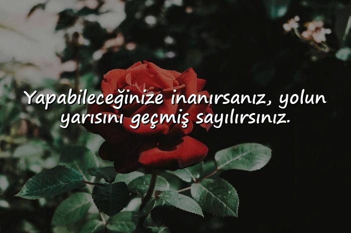 resimli başarı sözleri - 18