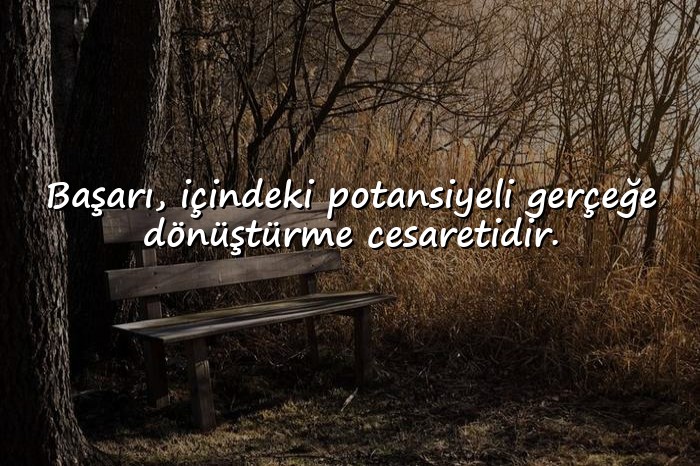 resimli başarı sözleri - 13