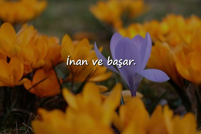 resimli başarı sözleri - 8