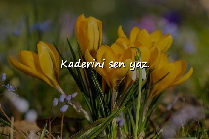 resimli başarı sözleri - 3