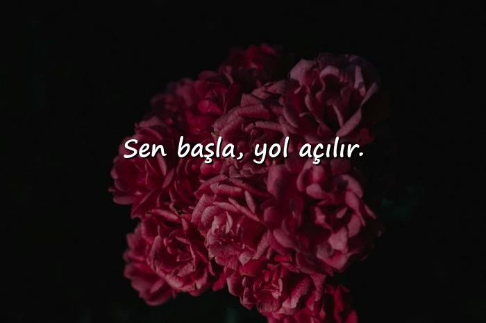 resimli başarı sözleri - 1