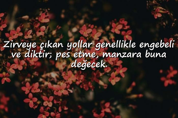 resimli başarmak ile ilgili sözler - 6