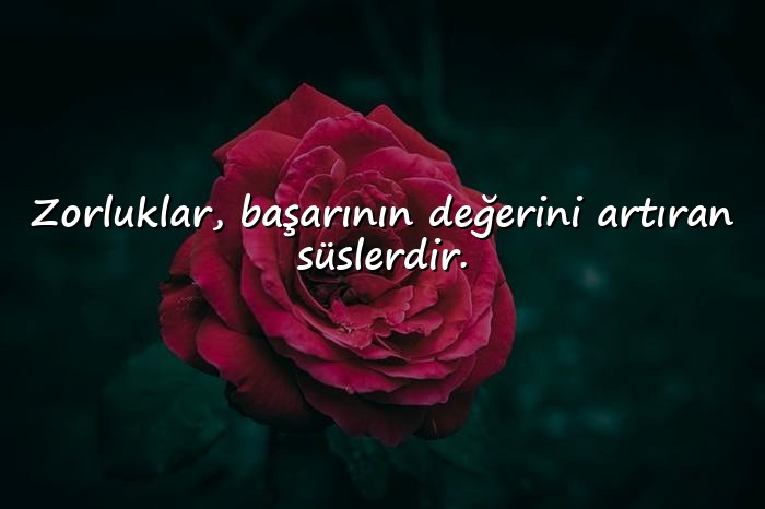 resimli başarmak ile ilgili sözler - 21