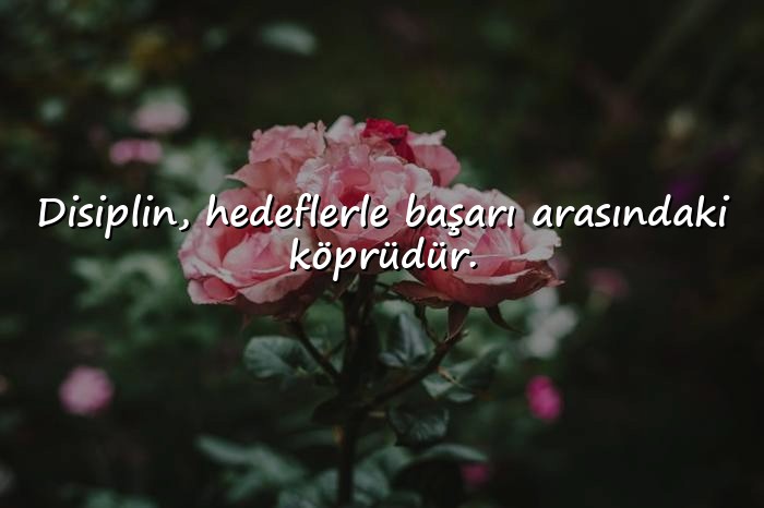 resimli başarmak ile ilgili sözler - 6