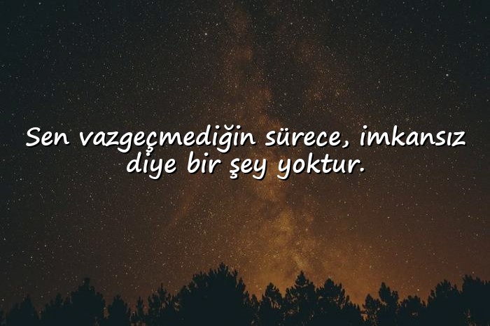 resimli başarmak ile ilgili sözler - 1