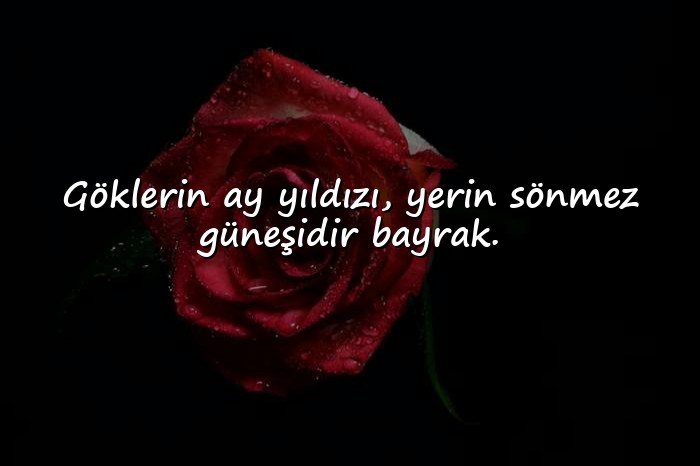 resimli bayrak sözleri - 6