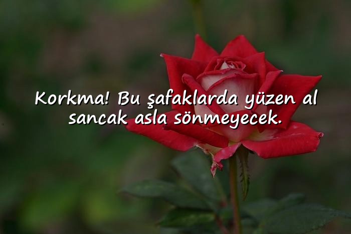 resimli bayrak sözleri - 21