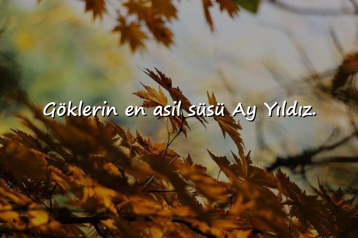 resimli bayrak sözleri - 16