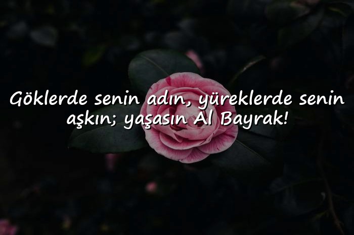 resimli bayrak sözleri - 1