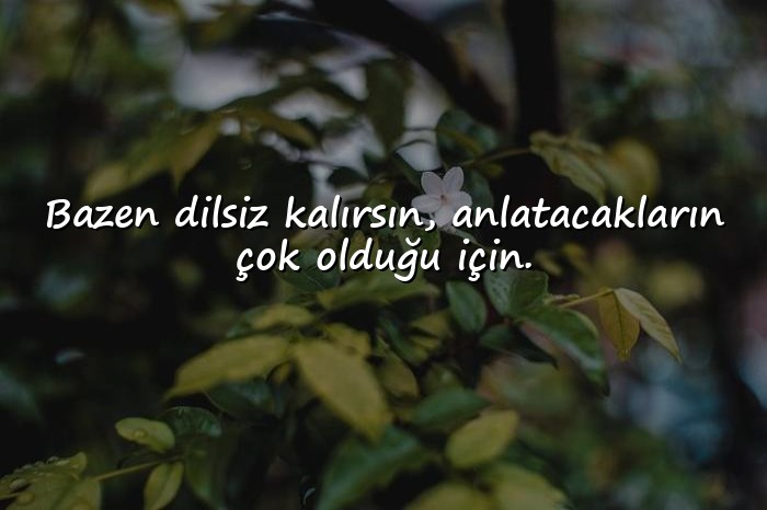 resimli bazen sözleri - 21