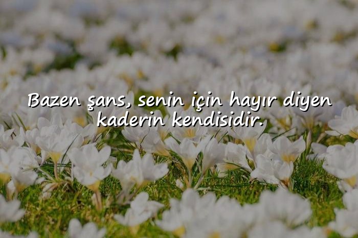 resimli bazen sözleri - 16