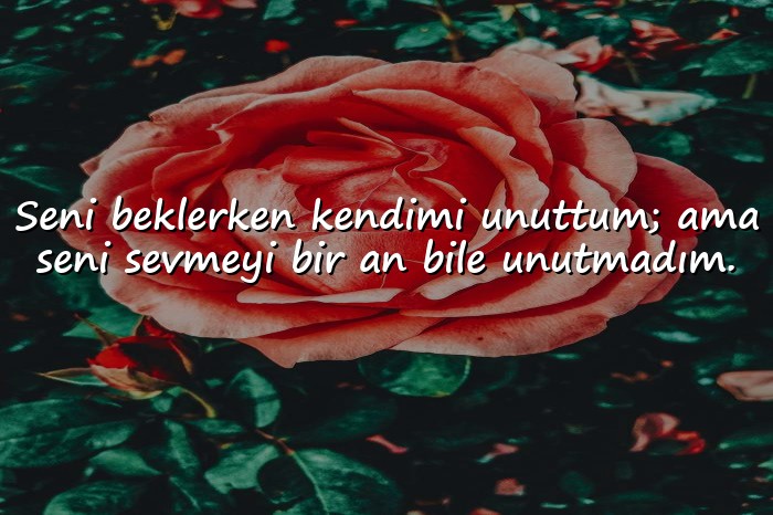 resimli beklemek ile ilgili sözler - 16