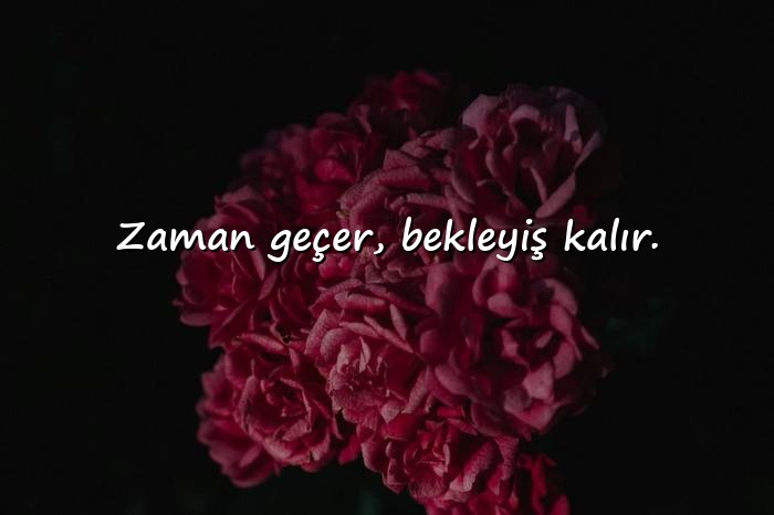 resimli beklemek ile ilgili sözler - 11