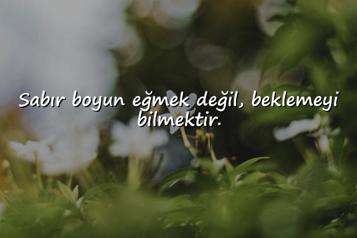 resimli beklemek ile ilgili sözler - 6
