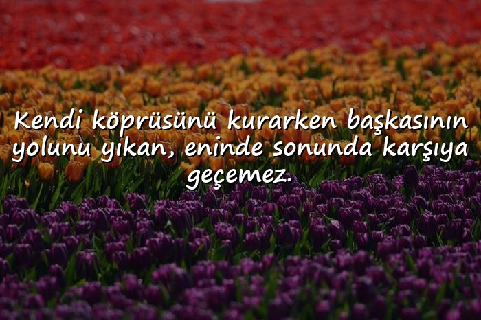 resimli bencil insanlara sözler - 6