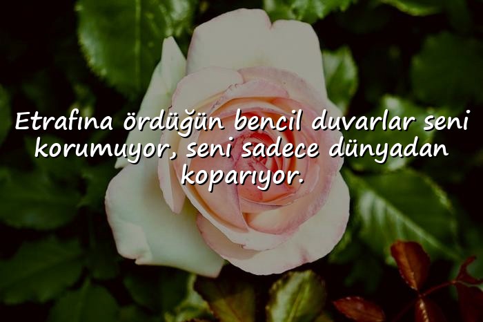 resimli bencil insanlara sözler - 16