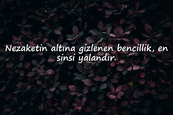 resimli bencil insanlara sözler - 6