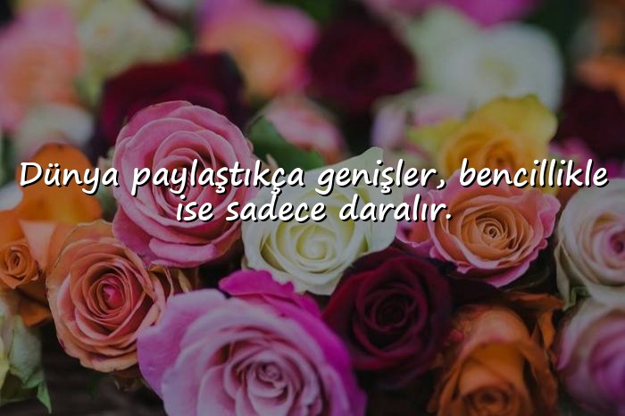 resimli bencil insanlara sözler - 1
