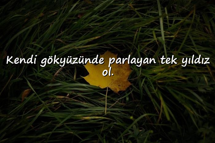 resimli bioya yazılacak sözler - 5