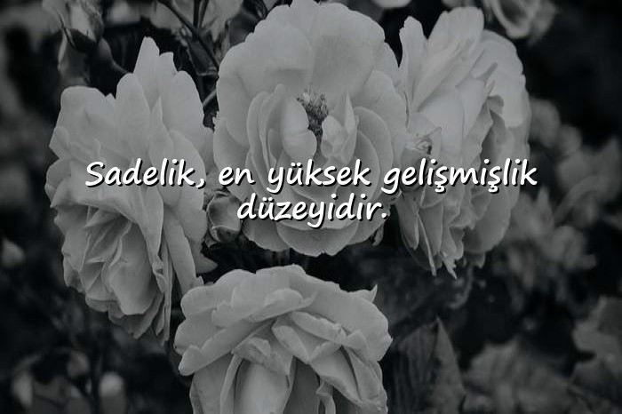 resimli bioya yazılacak sözler - 25
