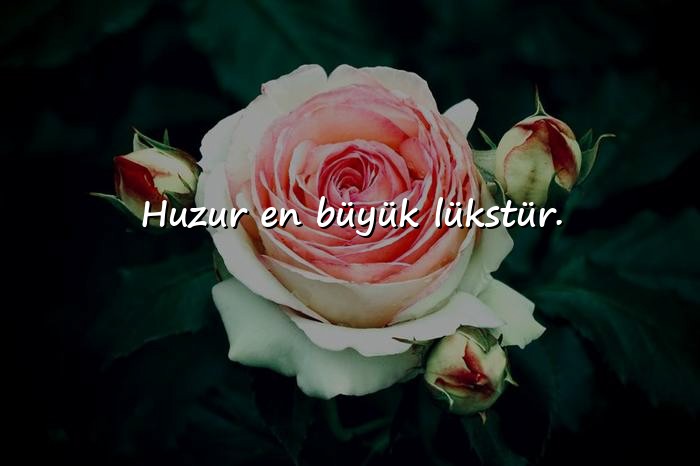 resimli bioya yazılacak sözler - 20