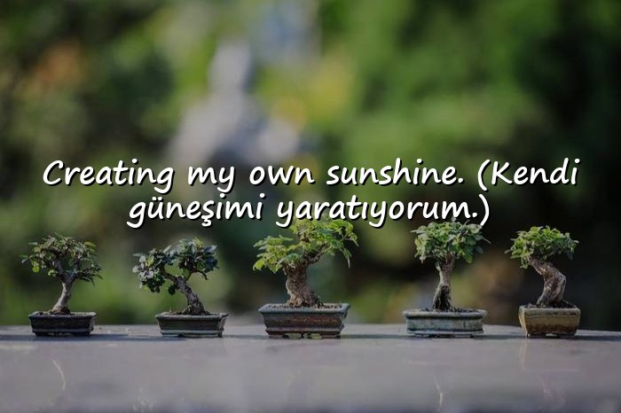 resimli bioya yazılacak sözler - 1