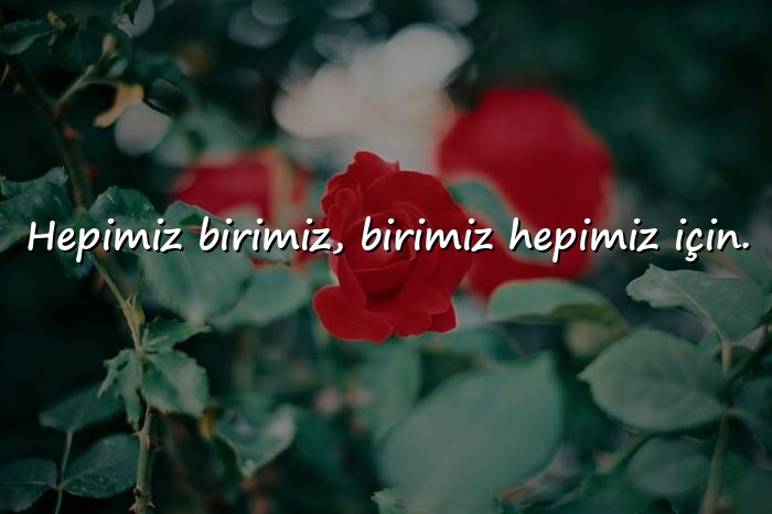 resimli birlik beraberlik sözleri - 17