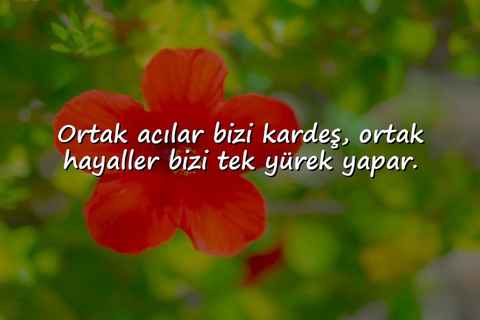 resimli birlik beraberlik sözleri - 12