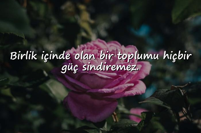 resimli birlik beraberlik sözleri - 1
