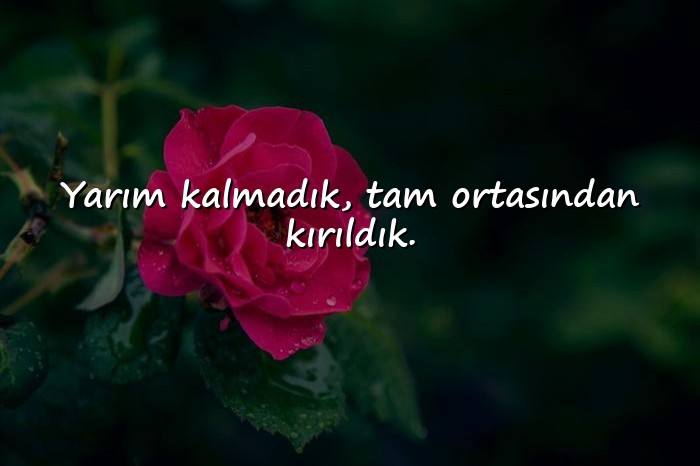 resimli bitti sözleri - 6