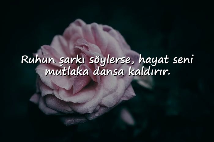 resimli biyografi sözleri - 4