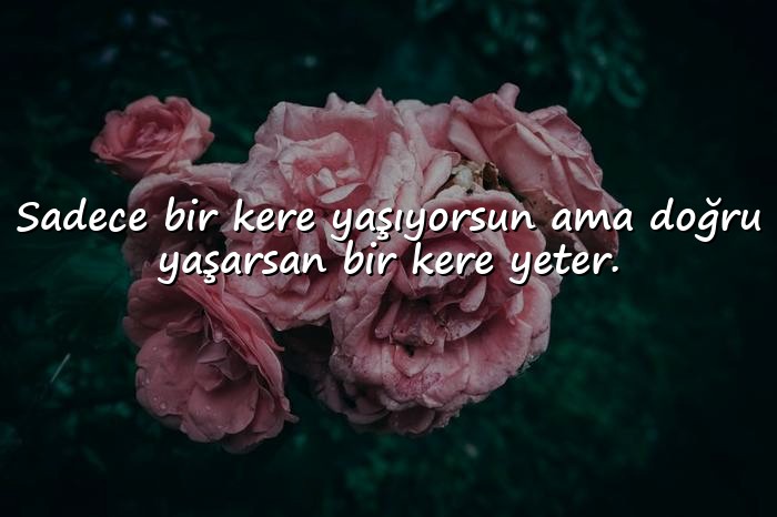 resimli biyografi sözleri - 24