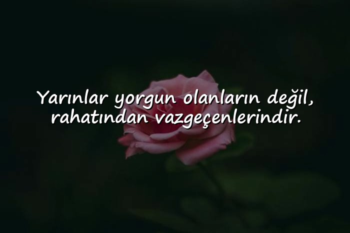 resimli biyografi sözleri - 9