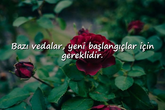 resimli biyografi sözleri - 4