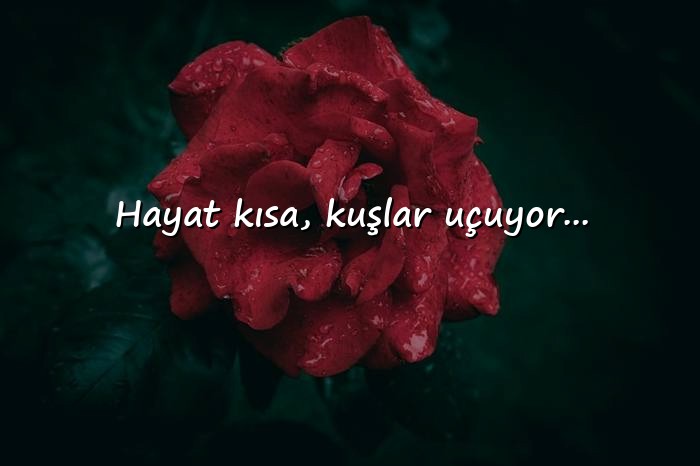 resimli biyografi sözleri - 1