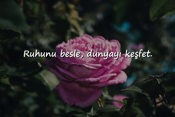 resimli biyografi sözleri kısa - 1