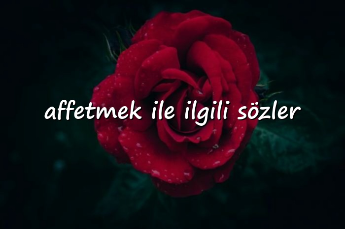 affetmek ile ilgili sözler - 2026