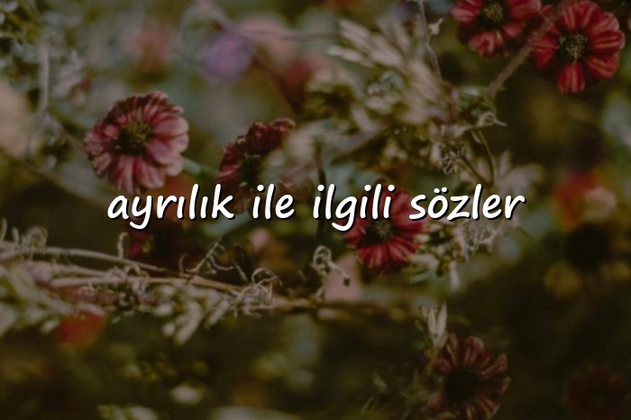 ayrılık ile ilgili sözler - 2026