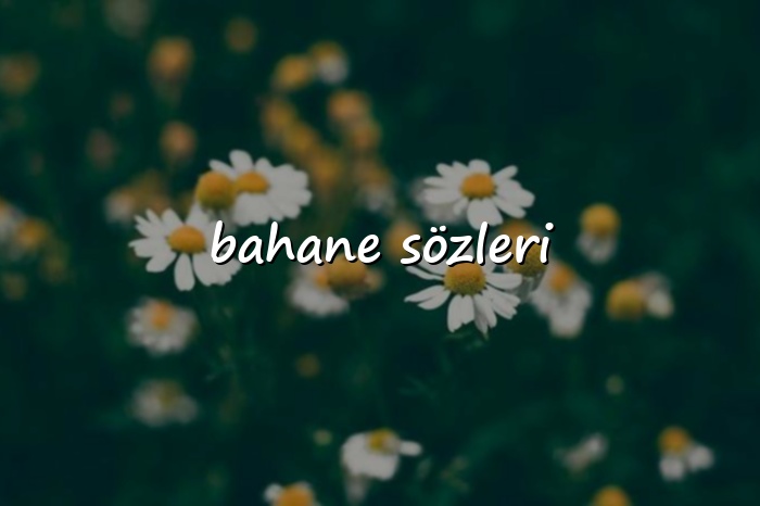 bahane sözleri - 2026