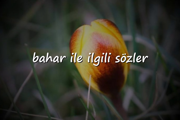 bahar ile ilgili sözler - 2026