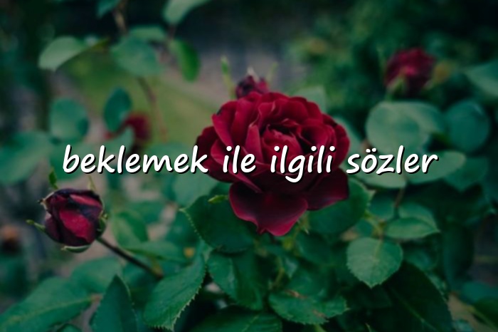 beklemek ile ilgili sözler - 2026