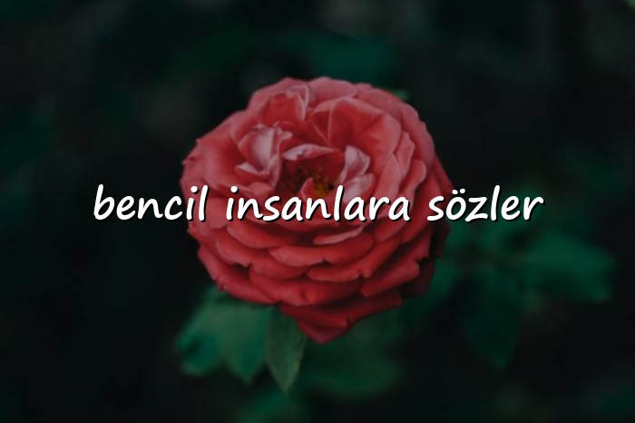 bencil insanlara sözler - 2026