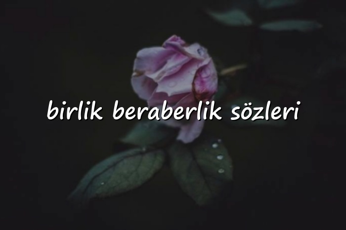 birlik beraberlik sözleri - 2026