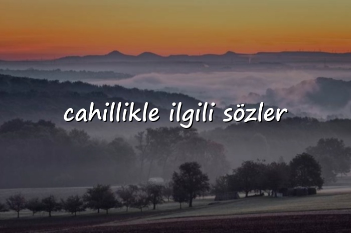 cahillikle ilgili sözler - 2026